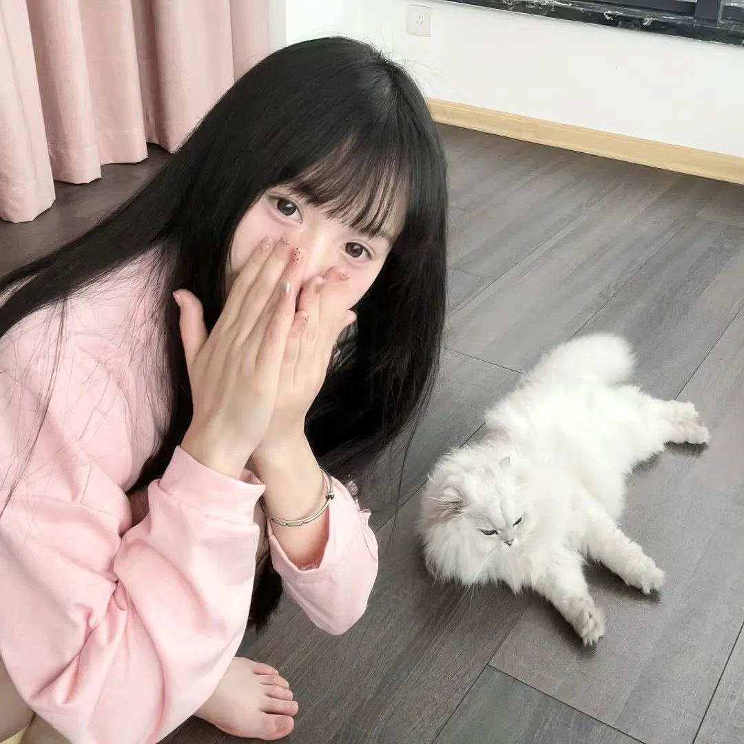 歌手相互论